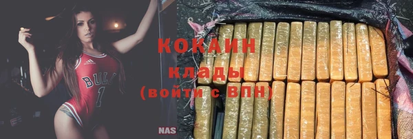 тгк Нея