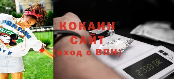 индика Нефтегорск