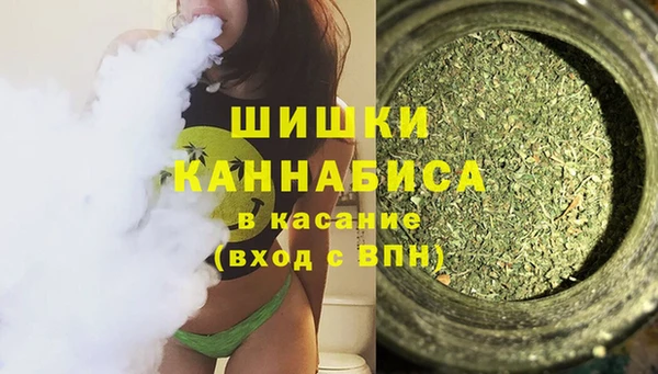 индика Валдай