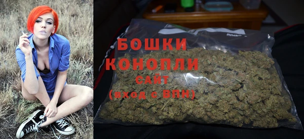 тгк Нея