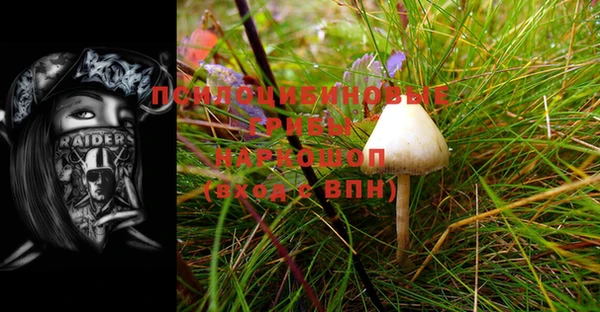 индика Нефтегорск