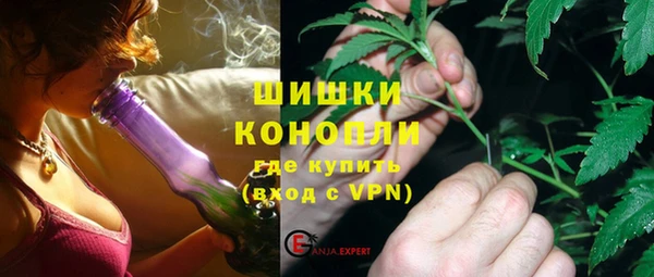 тгк Нея